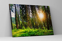 Obraz Prechádzka lesom 1617